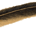 oca_plume_source.png